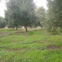خانه ویلایی اجاره داده میشود