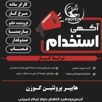 استخدام