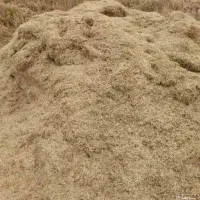 کاه گندم