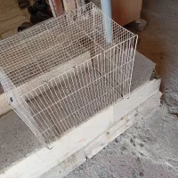 قفس پرنده