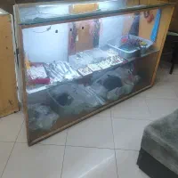 ویترین پیشخوان