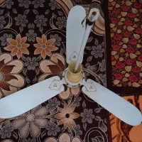 پنکه سقفی