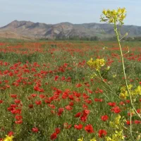 نظافت راه پله وپارکینگ باضمانت تمیزی