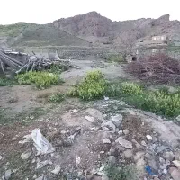 زمین مسکونی