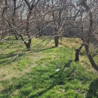 باغچه-300-متری-ملارد-لم-آباد