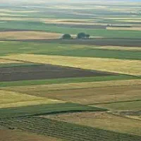 فروش زمین کشاورزی