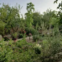 باغ سند دار با چاه اختصاصی معاوضه