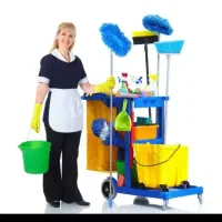 نظافت کار خانوم