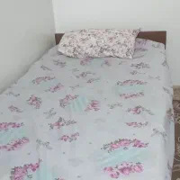 تخت خواب یک نفره باتشک