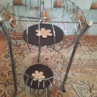 جاسیب زمینی پیاز