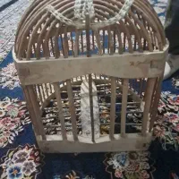 پرنده بلدرچین