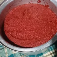 رب خانگی