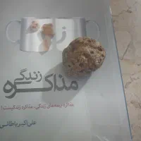 سنگ|کلکسیون اشیاء عتیقه|تربت جام, کاریز نو سفلی|دیوار