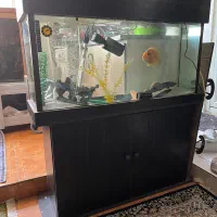 آکواریوم