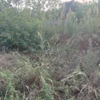 فروش-زمین-مسکونی
