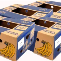 کارتن اسباب کشی