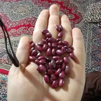 لوبیا قرمز