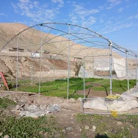 گلخانه|گل و گیاه طبیعی|هزار مسجد, |دیوار