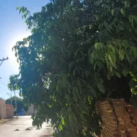 فروش زمین کلنگی مسکونی تجاری/چهلخانه