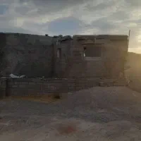 زمین-دامداری-در-صوفی-اباد