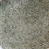 فروش آویشن