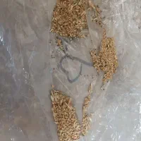 بوجار گندم