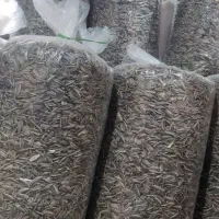 انواع آجیل و تخمه تازه ارسال رایگان
