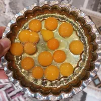 تخم بلدرچین خوراکی تازه و به روز ارسال رایگان