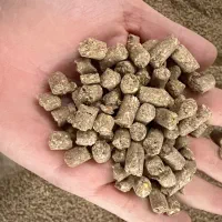 فروش خوراک دام ( گاو شیری و پرواری )