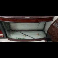 اکواریوم شرکتی