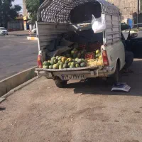 کالک دیم