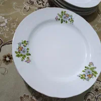 بشقاب و خوشت خوری