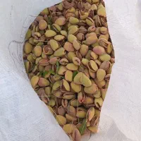 بادام درختی