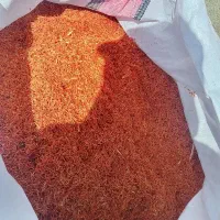 فروش و خرید گلرنگ ودانه