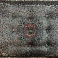 تولیدو پخش پشتی