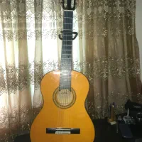 گیتار ژاپنی آریا