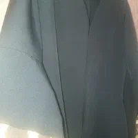 مانتو پلنگی