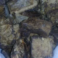 تلف گوسفند