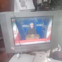 تلویزیون