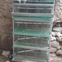 قفس بلدرچین