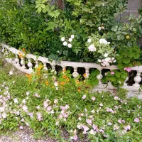 طراحی فضای سبز و خدمات باغبانی و روف گاردن
