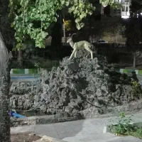 جایزه توضیحاتوبخون