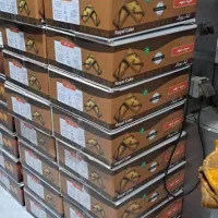 کارگر میدان خشکبار فاز یک