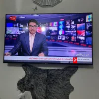 تلویزیون