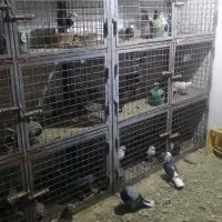 دوعددجفتکن شش طبقه اهنی