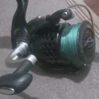 لنسر ماهیگیری