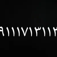 09111713113