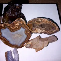 سنگ کلکسیون