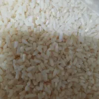 لاشه هاشمی