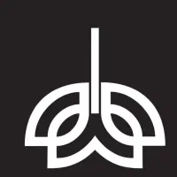ai آرتیست